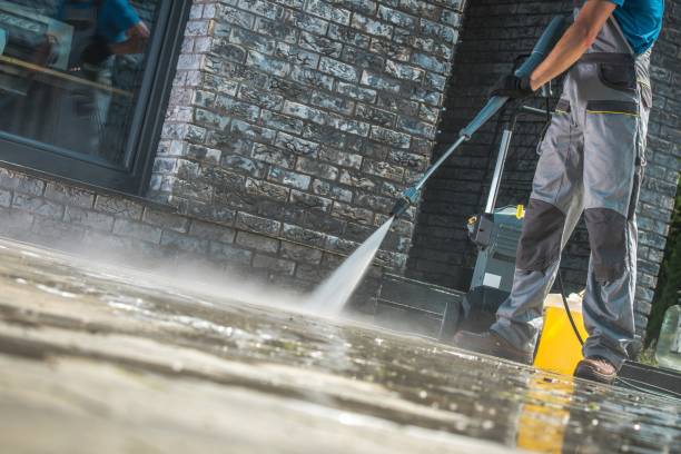 Best Driveway Pressure Washing  in Shadow Lake, WA